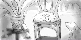 Simon Zechmeister фотография #27 (источник - https://vk.com/id793055)