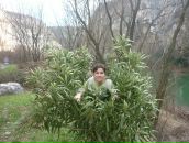 Фотография Чернитенко Олег