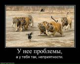 Сергей Неделин фотография #49 (источник - https://vk.com/id6424801)