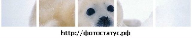 Богдана Форостян фотография #18 (источник - https://vk.com/id132615657)