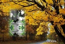 Леся Білецька фотография #6 (источник - https://vk.com/id135309649)