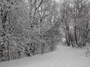 Макс Сікора фотография #27 (источник - https://vk.com/id107131596)