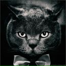 Фотография Анненкова Ярослава