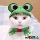 Наталья Морозова фотография #30 (источник - https://vk.com/id134560069)