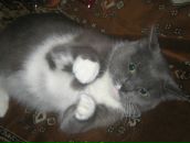 Іванка Белей фотография #5 (источник - https://vk.com/id113356199)