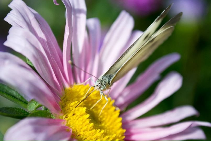 Антон Девяткин фотография #38