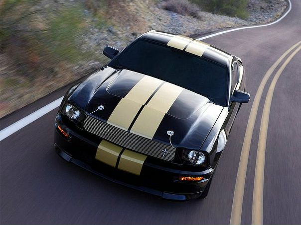 Никита Ив@н0в фото №35