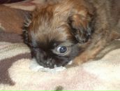 Маріна Бухарець фотография #35 (источник - https://vk.com/id162618046)