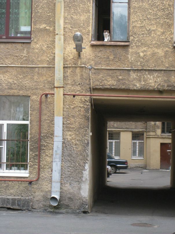 Миша Парнес фотография #34
