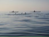 Evgeni Rojkov фотография #45 (источник - https://vk.com/id1364474)