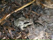 Фотография Бессоновой Ирины