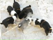 Никита Соляник фотография #5 (источник - https://vk.com/id35390311)