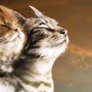 Марінка Баштан фотография #23 (источник - https://vk.com/id70088006)