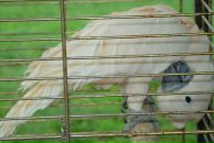 Андрей Доценко фотография #2 (источник - https://vk.com/id2316331)