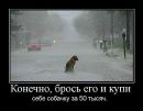 Міс Дах Світу фотография #38 (источник - https://vk.com/id25599050)