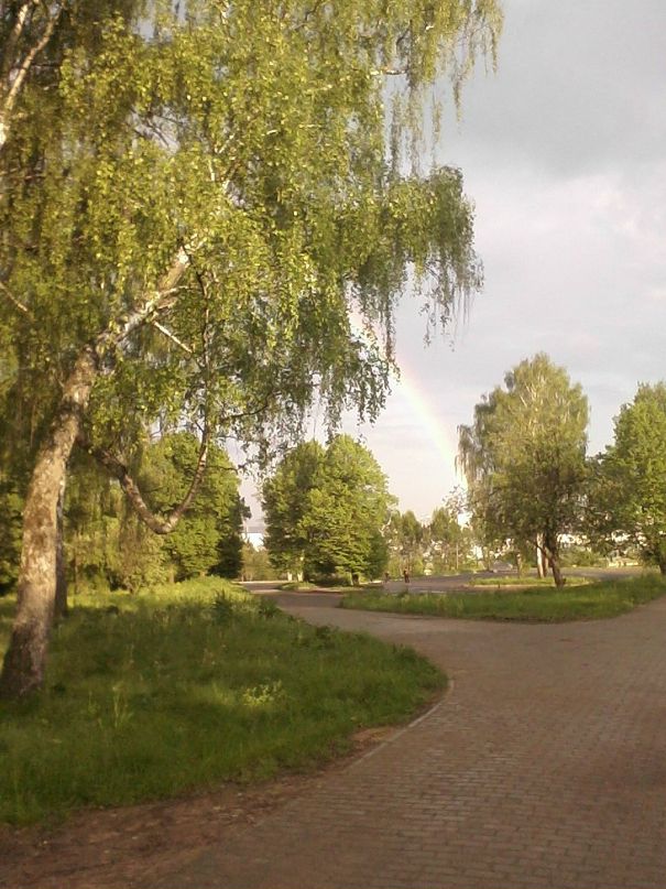 Дмитрий Омахоа фотография #33