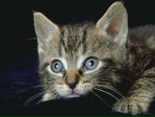 Віктор Якубовський фотография #18 (источник - https://vk.com/id8578390)