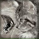 Фотография Ивониной Екатерины