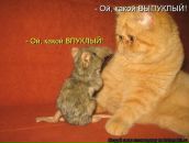 Фотография Видановой Олеси