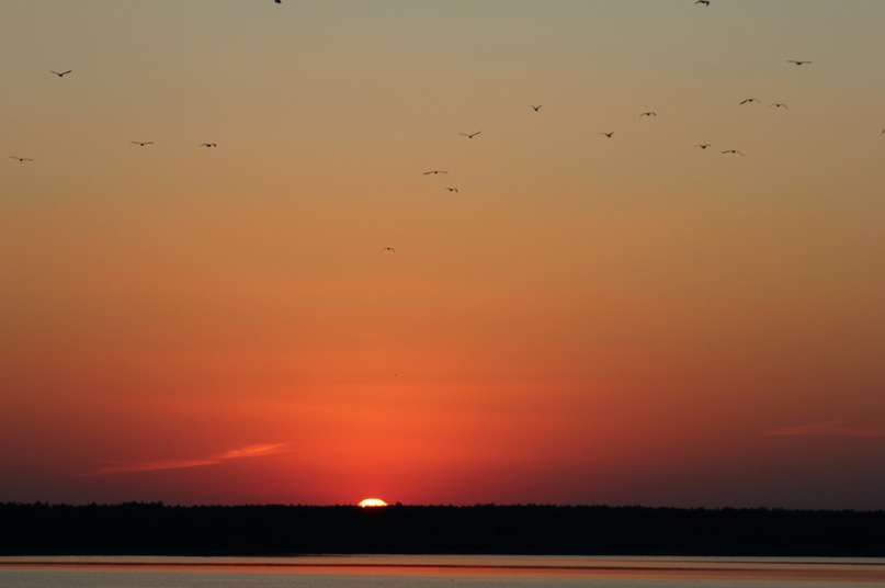 Николай Касьяненко фотография #50