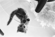 Фотография Tihomirov Mishka