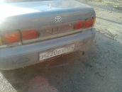 Фотография Shamray Sasha