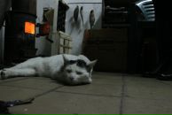 Фотография Милованова Евгения