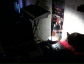 Цов Цов фотография #33 (источник - https://vk.com/id195121)