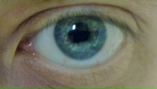 Фотография Абрагимова Константина