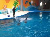 Murat Uzun фотография #15 (источник - https://vk.com/id1846906)