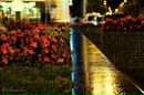 Станіслав Жеребецький фотография #4 (источник - https://vk.com/id161425340)