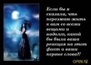 Сашунечка:) Дрозд фотография #30 (источник - https://vk.com/id83322451)