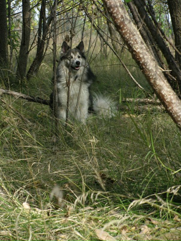 Надежда Басараб фотография #35