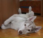 Фотография Пушниной Екатерины