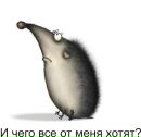 Фотография Волошина Павла