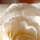 Аліна Іщук фотография #49 (источник - https://vk.com/id147022838)