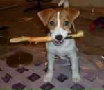 Фотография Ланцовой Кати