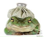 Фотография Корневой Ольги