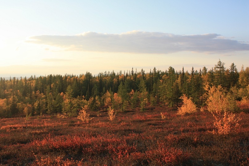 Сергей Маслов фотография #3