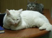 Фотография Котеговой Елизаветы