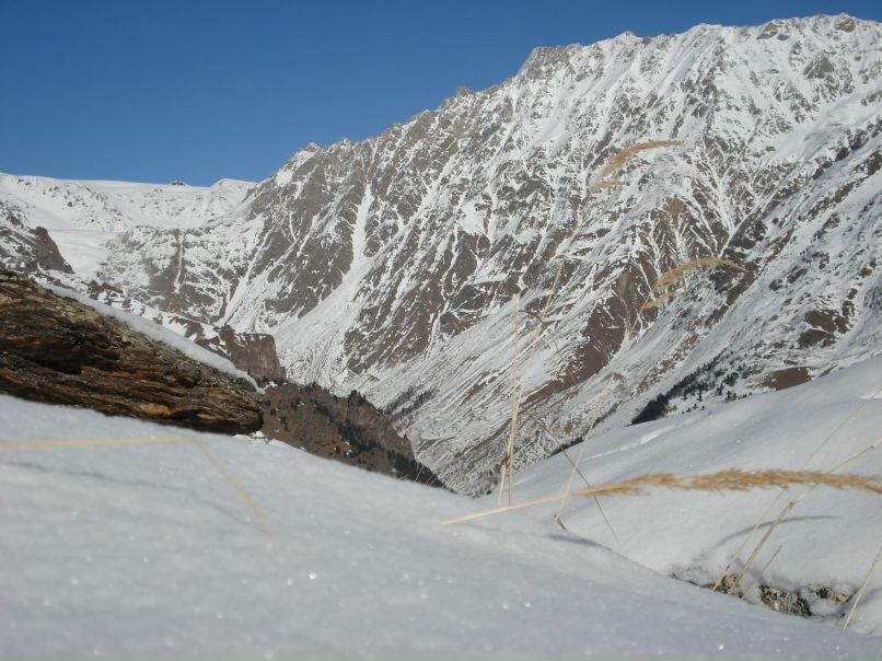 Ольга Коляда фотография #17