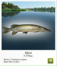 Андрій Кирилич фотография #31 (источник - https://vk.com/id72602419)