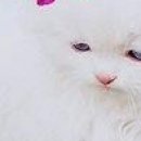 Юлічка Love фотография #50 (источник - https://vk.com/id143113296)