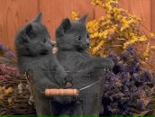 Фотография Резниковой Екатерины