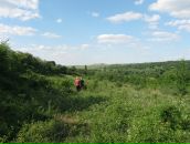 Фотография Шевцовой Ксении