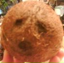 Фотография Дубовика Михаила