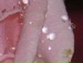 Галина Стасюк фотография #36 (источник - https://vk.com/id62532207)