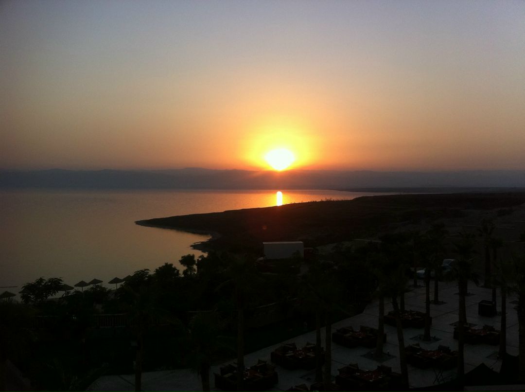 Дмитрий Алексеев фотография #23