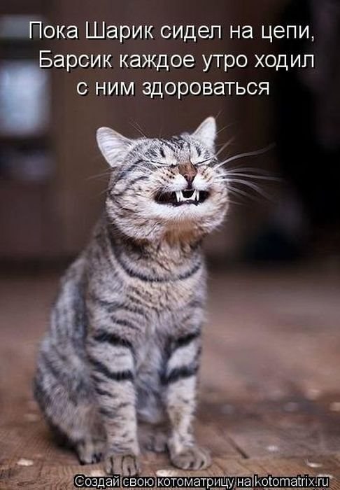 Дмитрий Авдеев фотография #42