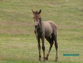 Фотография Горшковой Татьяны